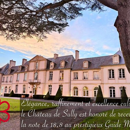 Grand Hotel "Chateau De Sully" - Piscine & Spa -Teritoria Sully  Eksteriør billede