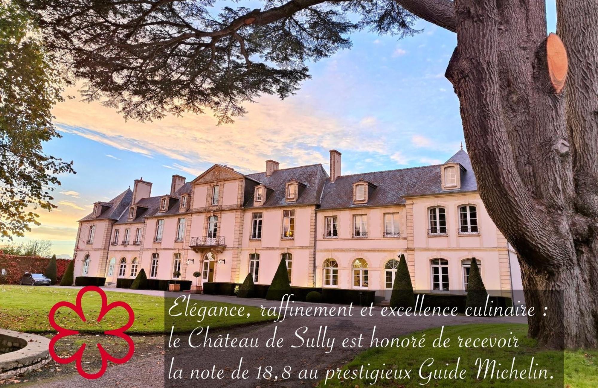 Grand Hotel "Chateau De Sully" - Piscine & Spa -Teritoria Sully  Eksteriør billede